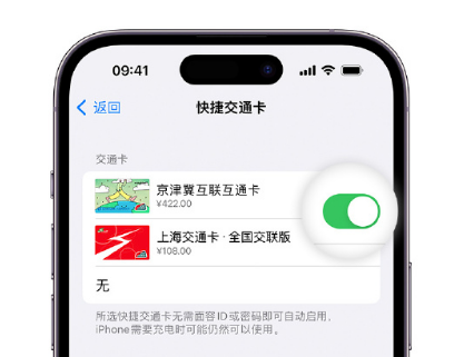 长兴apple维修点分享iPhone上更换Apple Pay快捷交通卡手绘卡面 