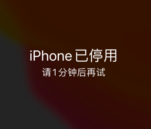 长兴苹果手机维修分享:iPhone 显示“不可用”或“已停用”怎么办？还能保留数据吗？ 