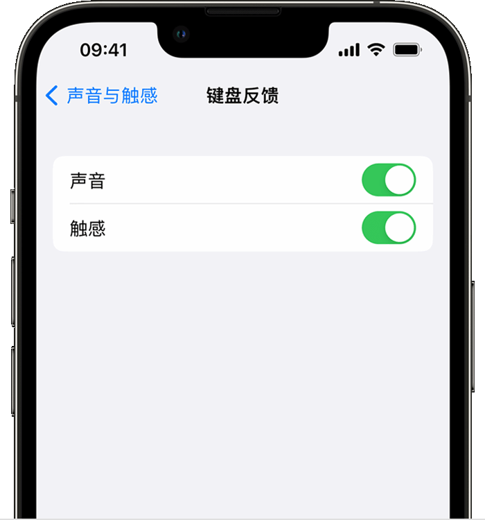 长兴苹果14维修店分享如何在 iPhone 14 机型中使用触感键盘 