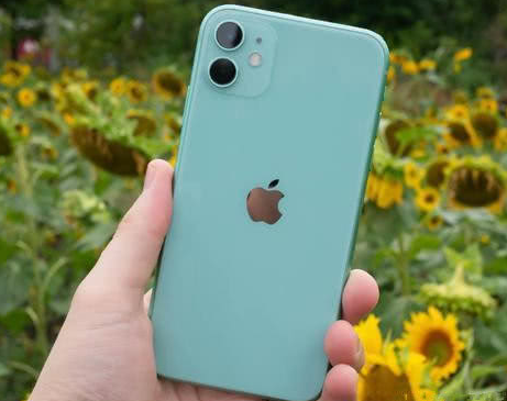 长兴苹果维修点分享iPhone 11锁屏密码认知与使用科普 